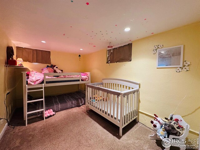432 Lafever St, Walden, CO 80480 - photo 22