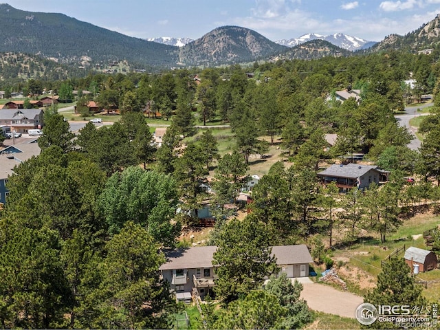 1224 Brook Dr, Estes Park, CO 80517 - photo 1