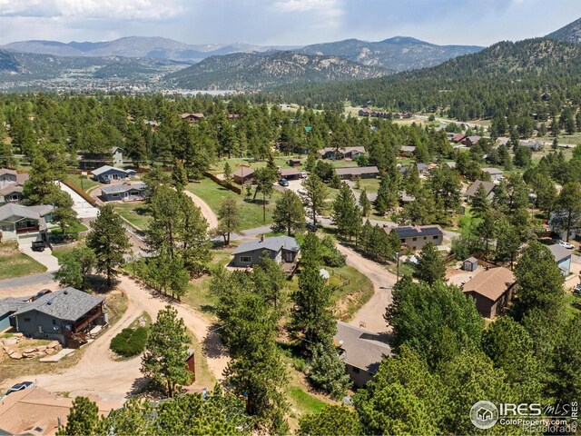 1224 Brook Dr, Estes Park, CO 80517 - photo 35