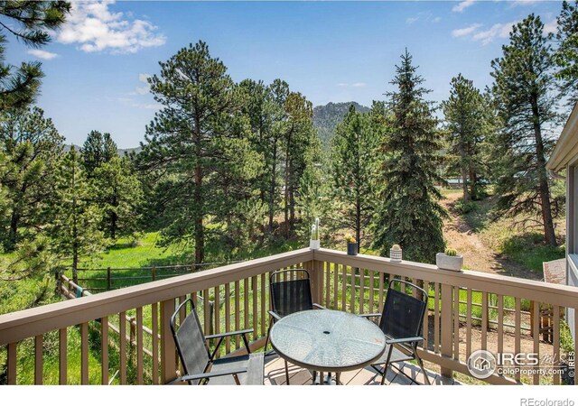 1224 Brook Dr, Estes Park, CO 80517 - photo 4