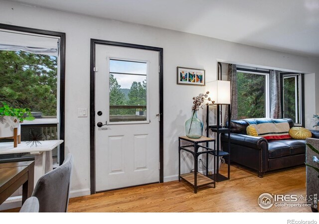 1224 Brook Dr, Estes Park, CO 80517 - photo 11
