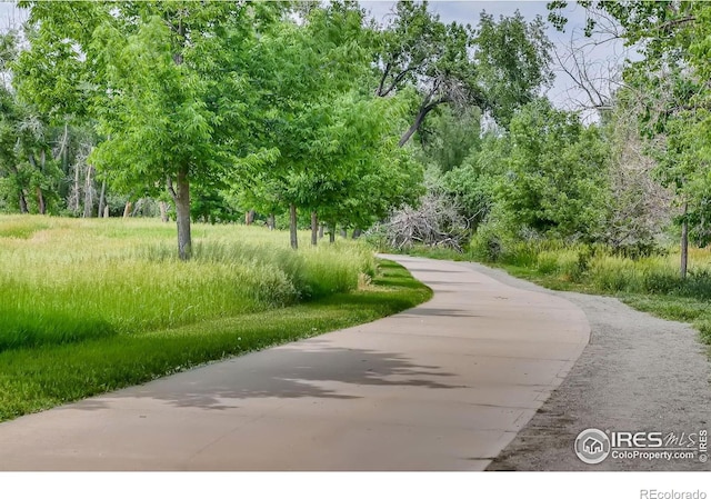 340 Vivian St, Longmont, CO 80501 - photo 32