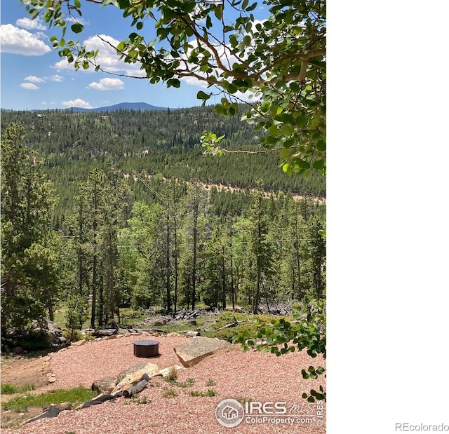 717 Micmac Dr, Red Feather Lakes, CO 80545