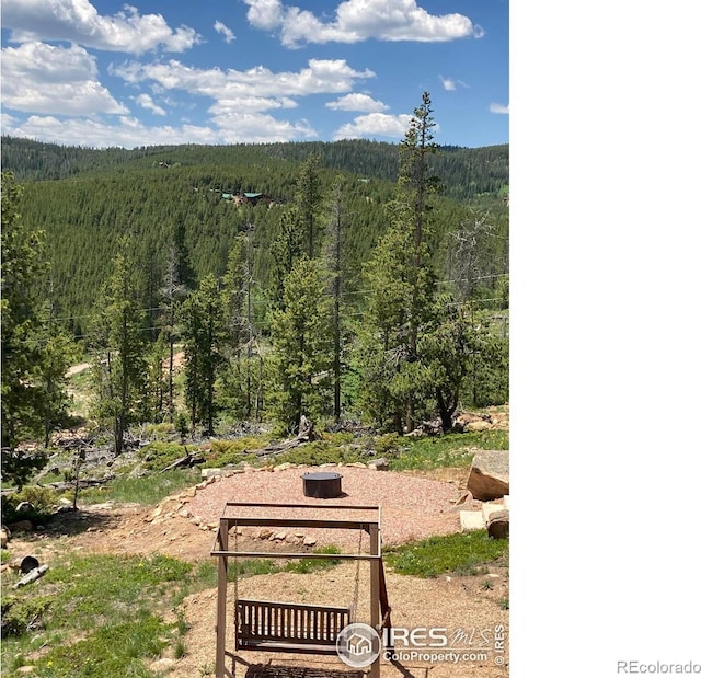 717 Micmac Dr, Red Feather Lakes, CO 80545