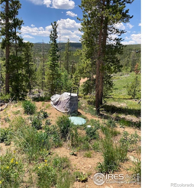 717 Micmac Dr, Red Feather Lakes, CO 80545