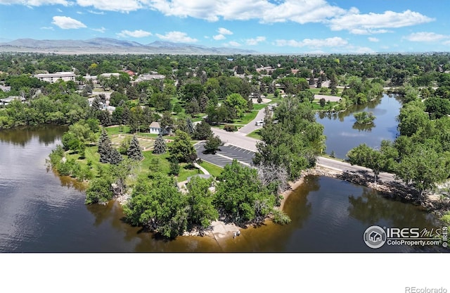 2705 Abarr Dr, Loveland, CO 80538 - photo 33
