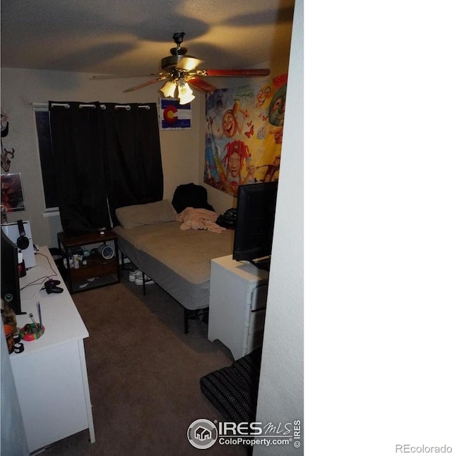 3212 Birney Ct, Evans, CO 80620 - photo 9