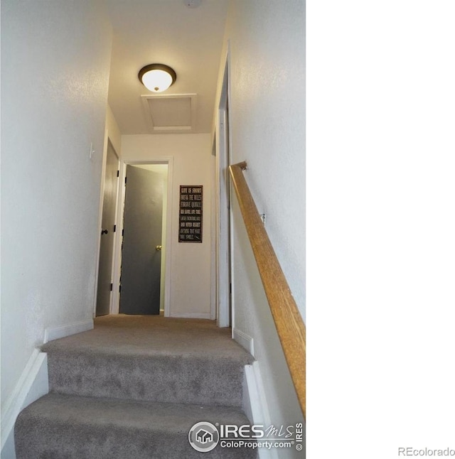 3212 Birney Ct, Evans, CO 80620 - photo 10