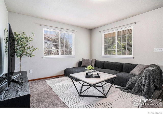 4097 Rockvale Dr, Loveland, CO 80538 - photo 6