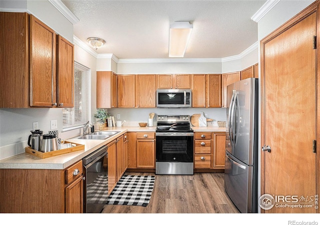 4097 Rockvale Dr, Loveland, CO 80538 - photo 13