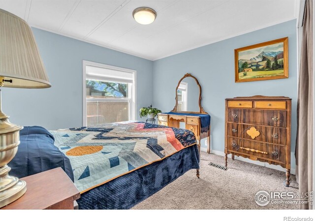 8513 Sawtooth Ct, Fort Collins, CO 80528 - photo 12