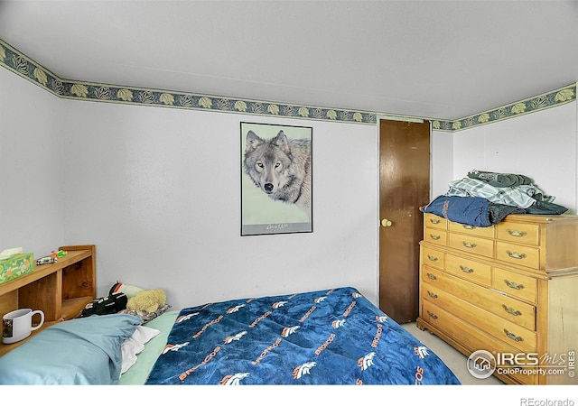 18247 County Road 22, Fort Lupton, CO 80621 - view of bedroom