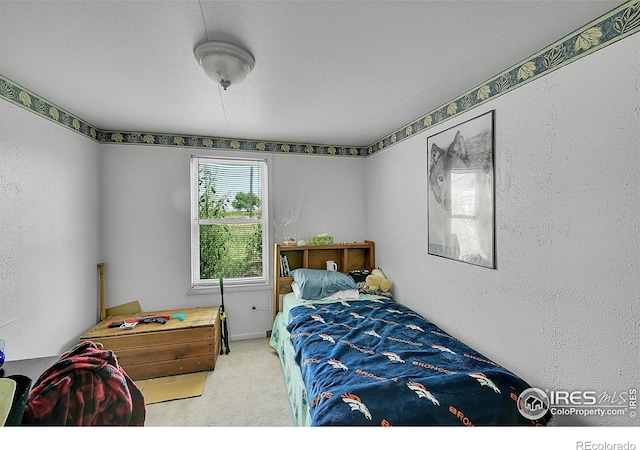18247 County Road 22, Fort Lupton, CO 80621 - view of carpeted bedroom