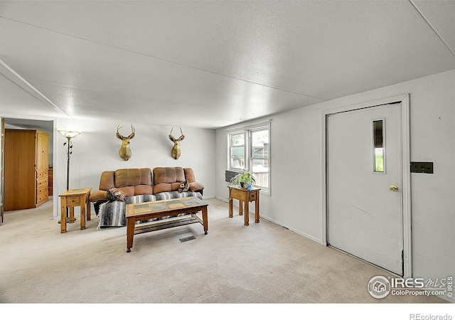 18247 County Road 22, Fort Lupton, CO 80621 - living room with carpet