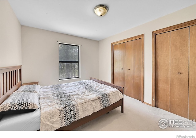 56 Bounty Hunter Ln, Bailey, CO 80421 - bedroom with multiple closets and carpet floors