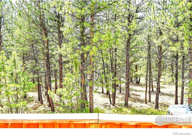 56 Bounty Hunter Ln, Bailey, CO 80421 - view of yard with a view of trees