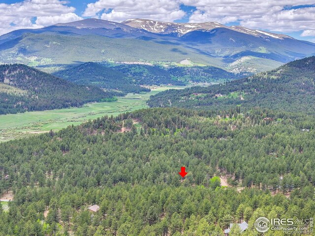 56 Bounty Hunter Ln, Bailey, CO 80421 - view of mountain backdrop with a heavily wooded area