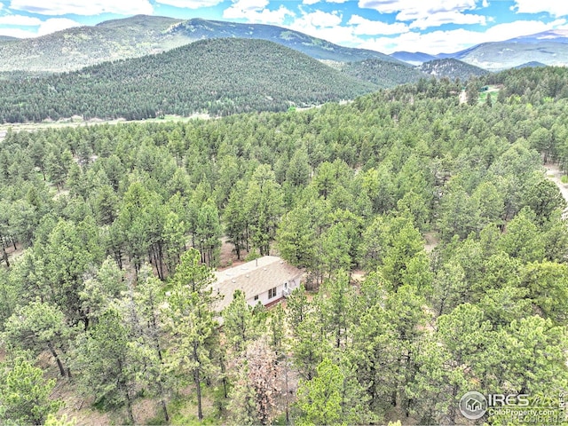 56 Bounty Hunter Ln, Bailey, CO 80421 - mountain view with a heavily wooded area