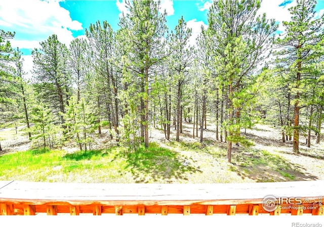 56 Bounty Hunter Ln, Bailey, CO 80421 - view of yard