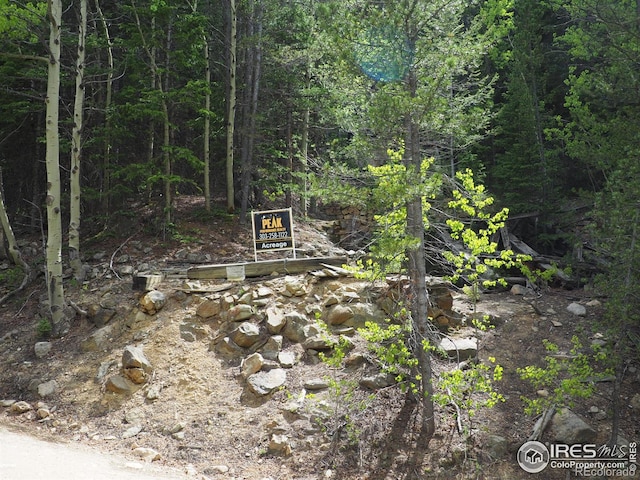 0 Gamble Gulch, Black Hawk, CO 80422 - photo 1