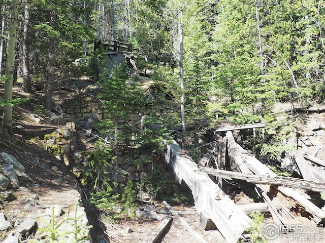0 Gamble Gulch, Black Hawk, CO 80422 - photo 3