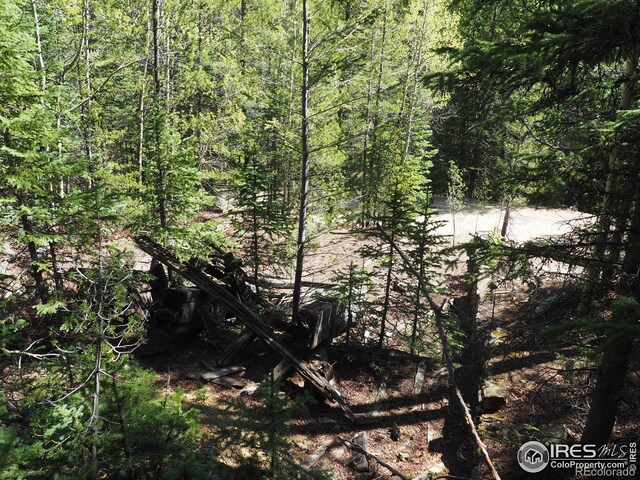 0 Gamble Gulch, Black Hawk, CO 80422 - photo 4