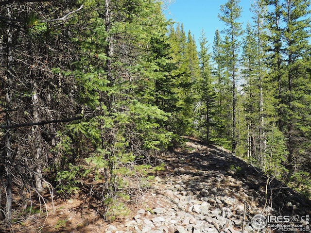 0 Gamble Gulch, Black Hawk, CO 80422 - photo 5