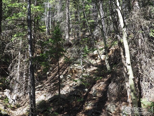 0 Gamble Gulch, Black Hawk, CO 80422 - photo 6