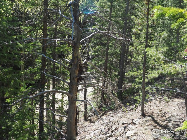 0 Gamble Gulch, Black Hawk, CO 80422 - photo 7