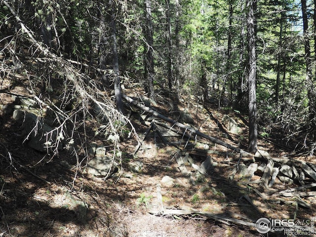 0 Gamble Gulch, Black Hawk, CO 80422 - photo 9