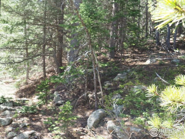 0 Gamble Gulch, Black Hawk, CO 80422 - photo 10