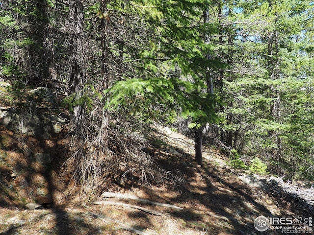 0 Gamble Gulch, Black Hawk, CO 80422 - photo 11