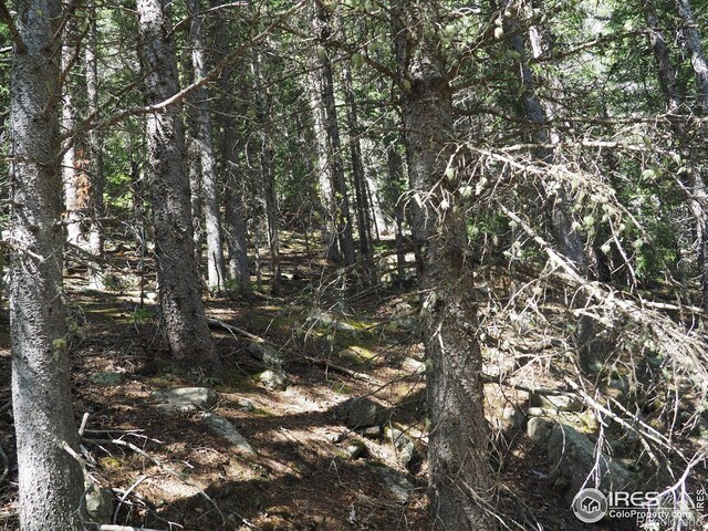 0 Gamble Gulch, Black Hawk, CO 80422 - photo 13