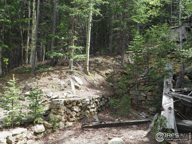 0 Gamble Gulch, Black Hawk, CO 80422 - photo 14