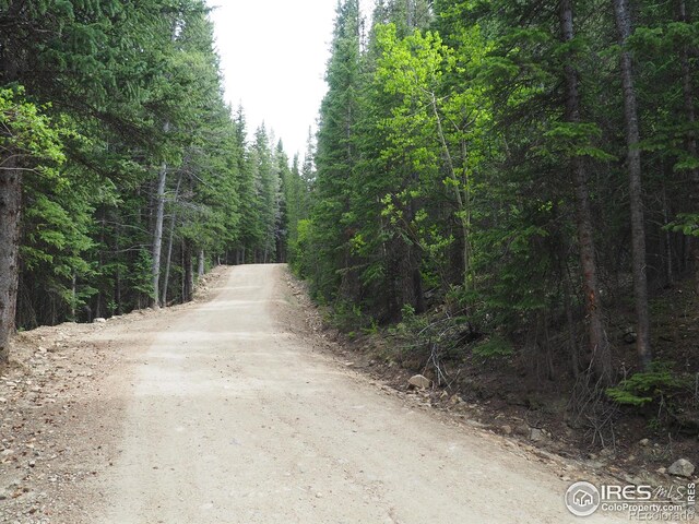0 Gamble Gulch, Black Hawk, CO 80422 - photo 15