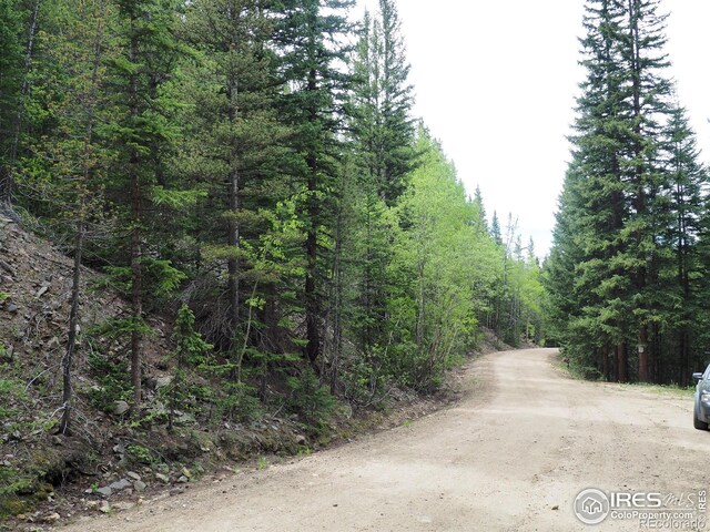 0 Gamble Gulch, Black Hawk, CO 80422 - photo 16