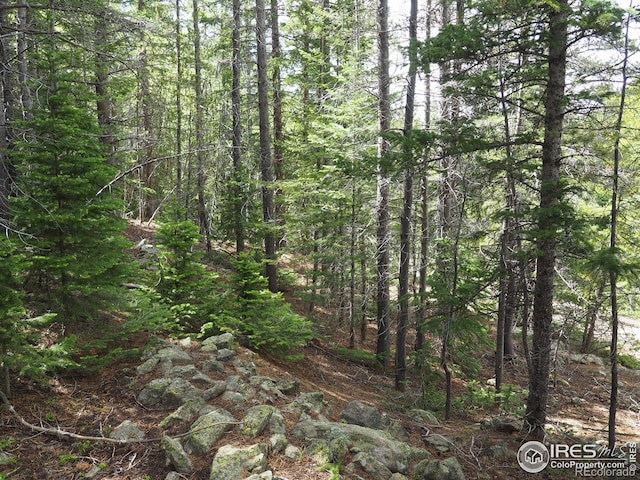 0 Gamble Gulch, Black Hawk, CO 80422 - photo 18