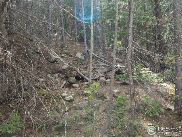 0 Gamble Gulch, Black Hawk, CO 80422 - photo 19