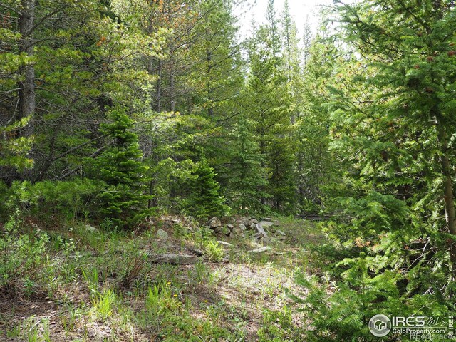 0 Gamble Gulch, Black Hawk, CO 80422 - photo 20