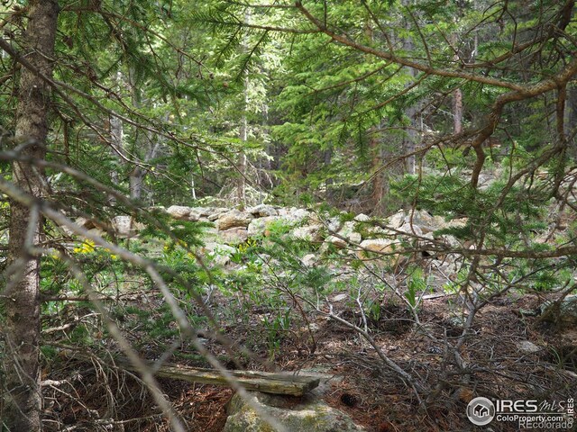 0 Gamble Gulch, Black Hawk, CO 80422 - photo 21