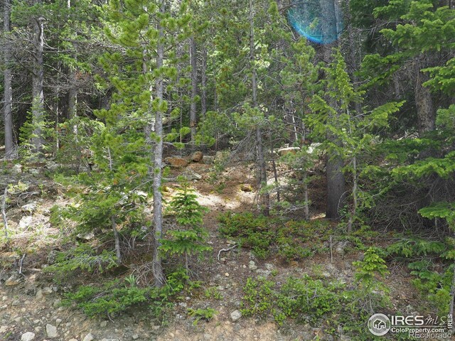 0 Gamble Gulch, Black Hawk, CO 80422 - photo 22