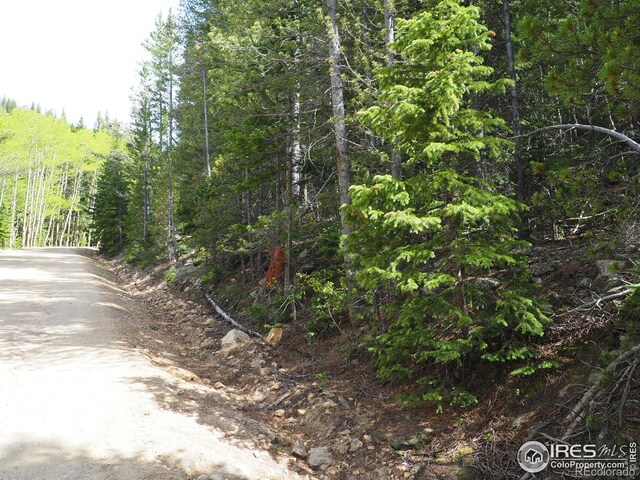 0 Gamble Gulch, Black Hawk, CO 80422 - photo 23