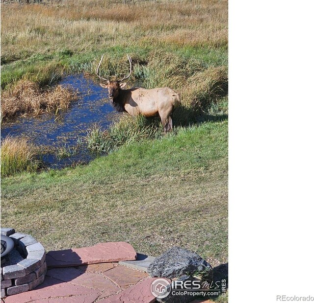 351 Whispering Pines Dr, Estes Park, CO 80517 - photo 5