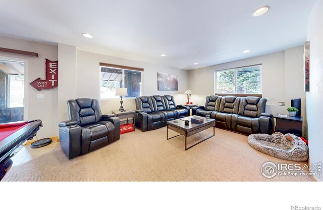 351 Whispering Pines Dr, Estes Park, CO 80517 - photo 21