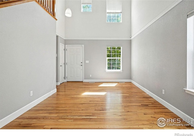 166 Monares Ln, Erie, CO 80516 - photo 6
