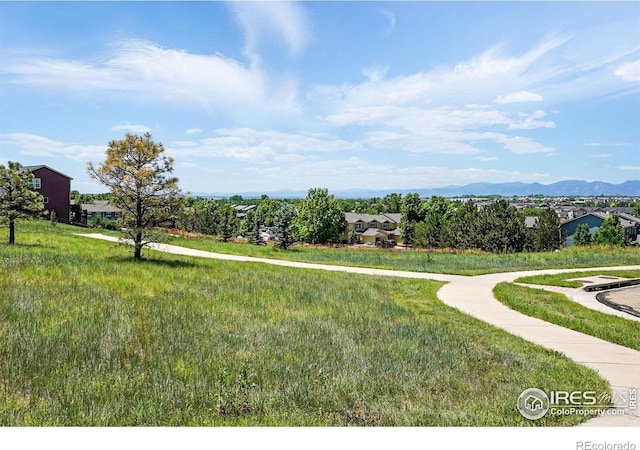 166 Monares Ln, Erie, CO 80516 - photo 38