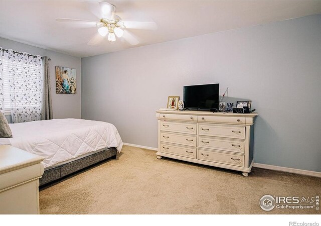 407 E 24th St, Greeley, CO 80631