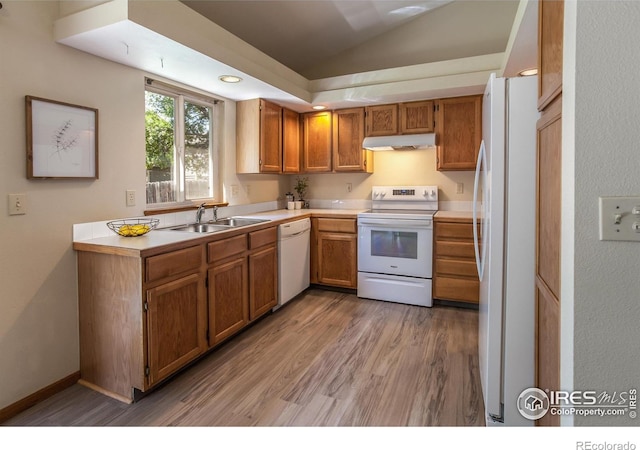 425 Walden Way, Fort Collins, CO 80526 - kitchen with white appliances, under cabinet range hood, light countertops, light wood finished floors, and vaulted ceiling