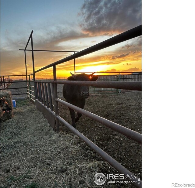 29752 County Road 53, Greeley, CO 80631 - photo 34