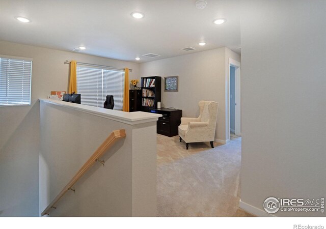 4507 Barrow Ln, Timnath, CO 80547